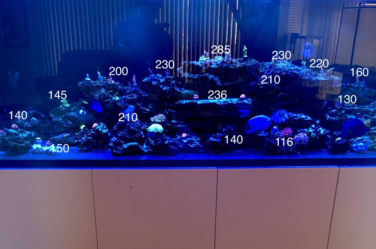 Question on Chemistry Stability and Observed Parameters | Reef2Reef