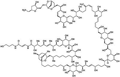 1675528470824.png
