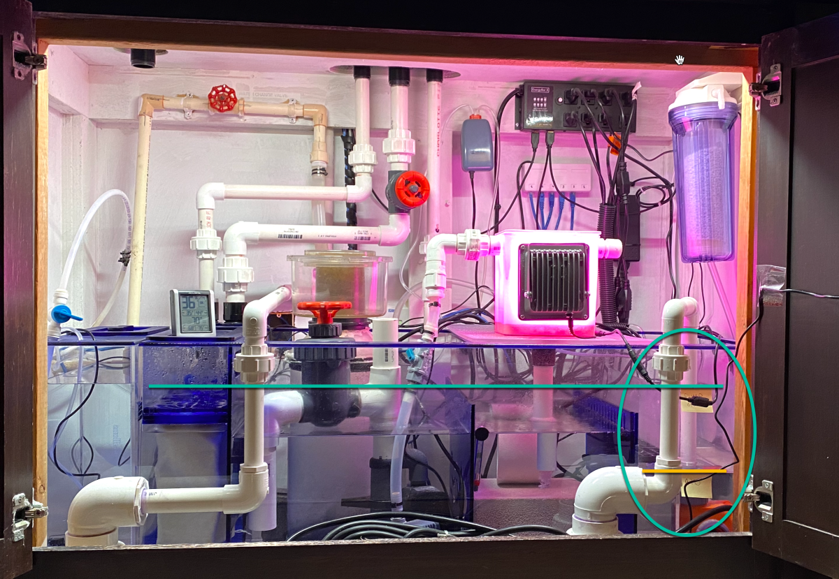 How full do I fill a new tank/sump on initial fill? | Reef2Reef