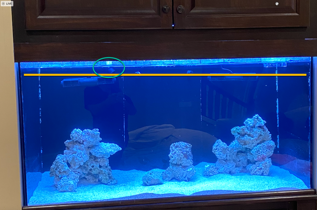 How full do I fill a new tank/sump on initial fill? | Reef2Reef