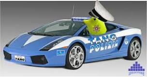 Image result for tang police