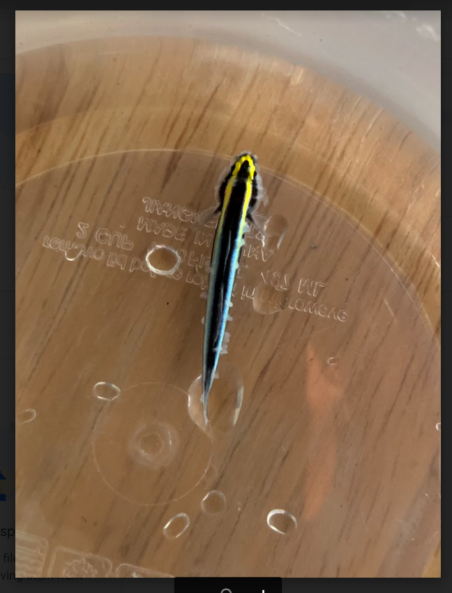 1678364232164.png