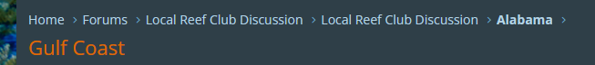 1688052348342.png
