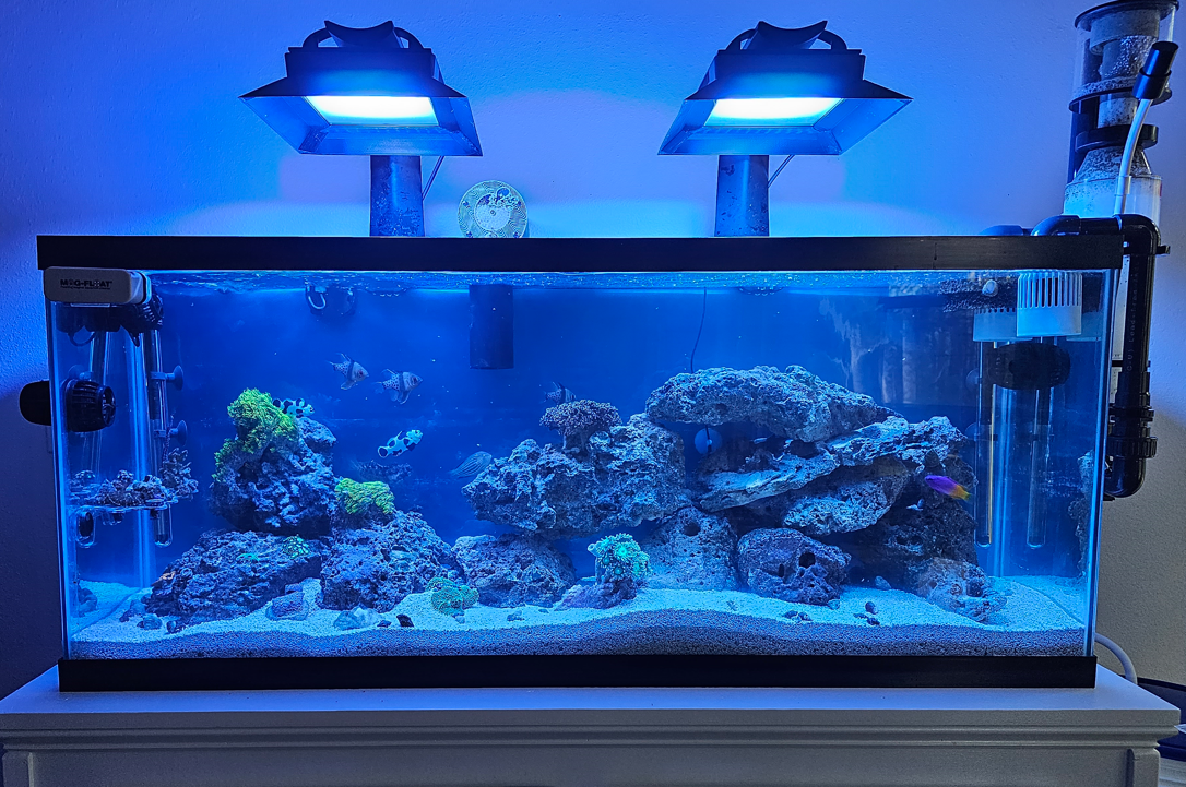 Build Thread 907 Tank Stand Build 55 Gallon Reef2Reef