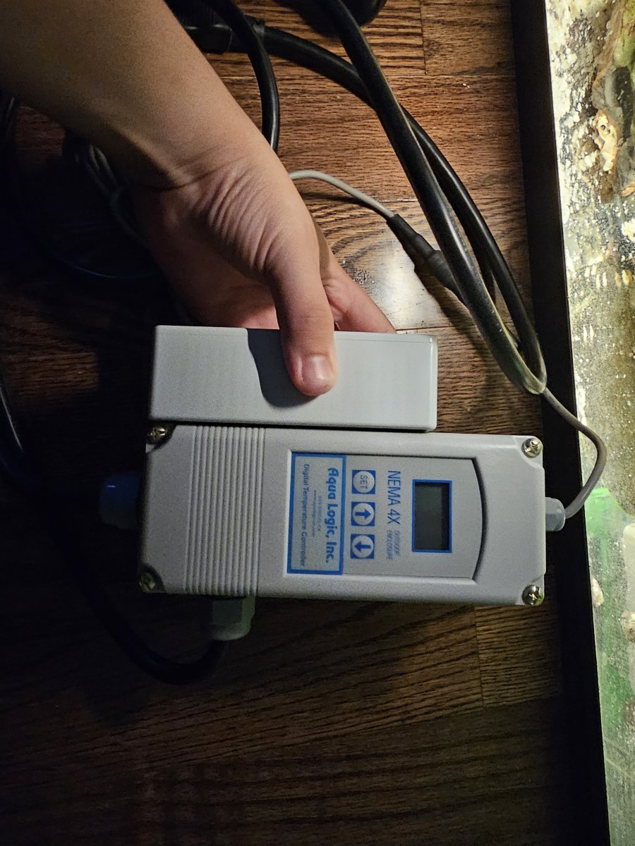 Aqua logic digital discount temperature controller