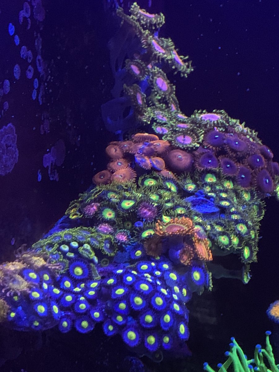 Reef　LED90 red-sea-reef-led-90.jpg