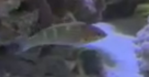 1698629896234.png