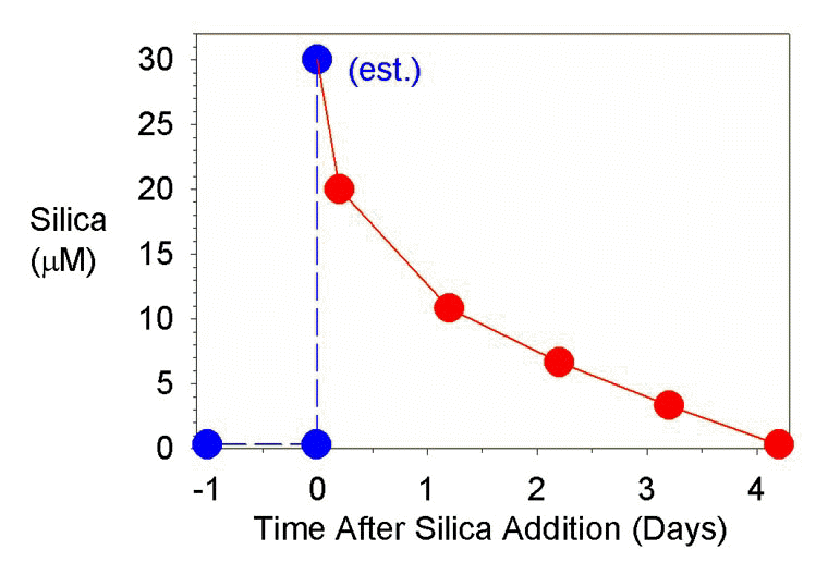 1699194914385.png