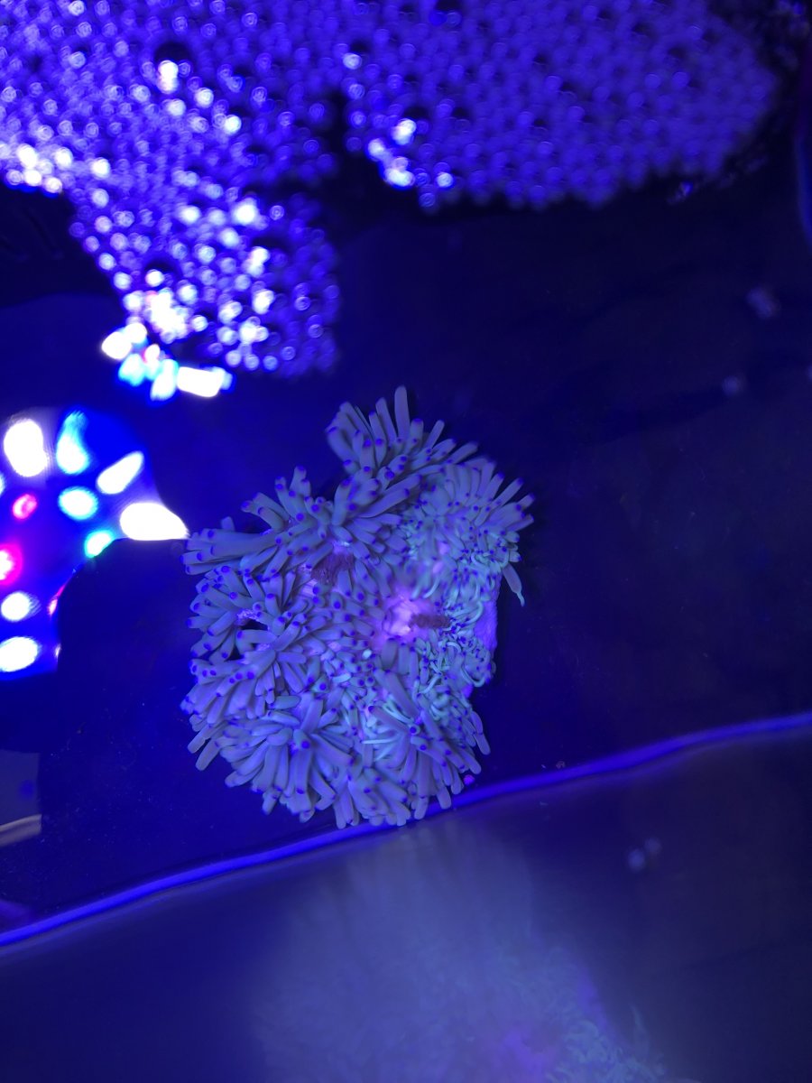 16D06128-8560-4E38-B6AB-4AC7601639D8.jpeg