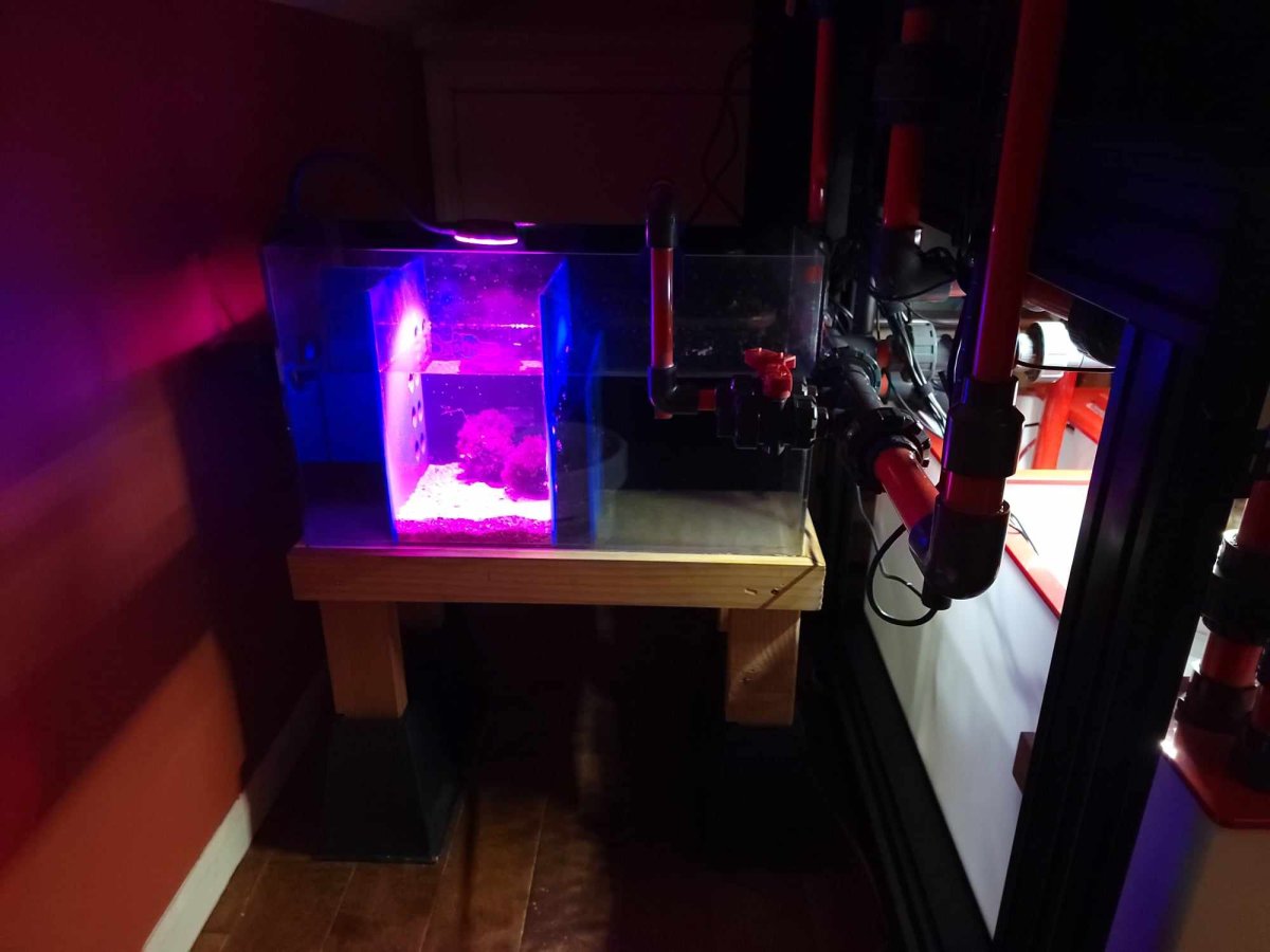 1701159201134.jpeg