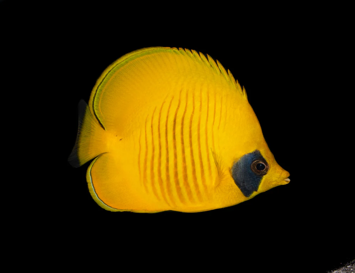 1703277078893.png