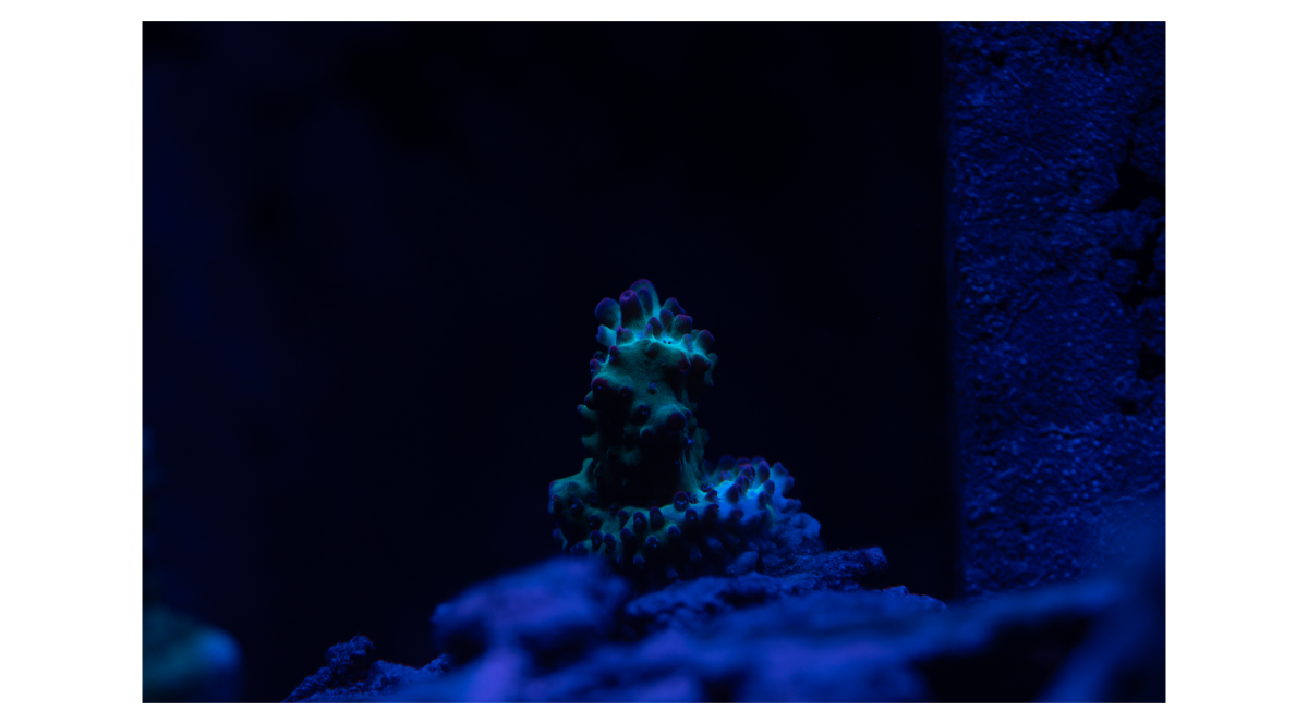 1705959020278.png