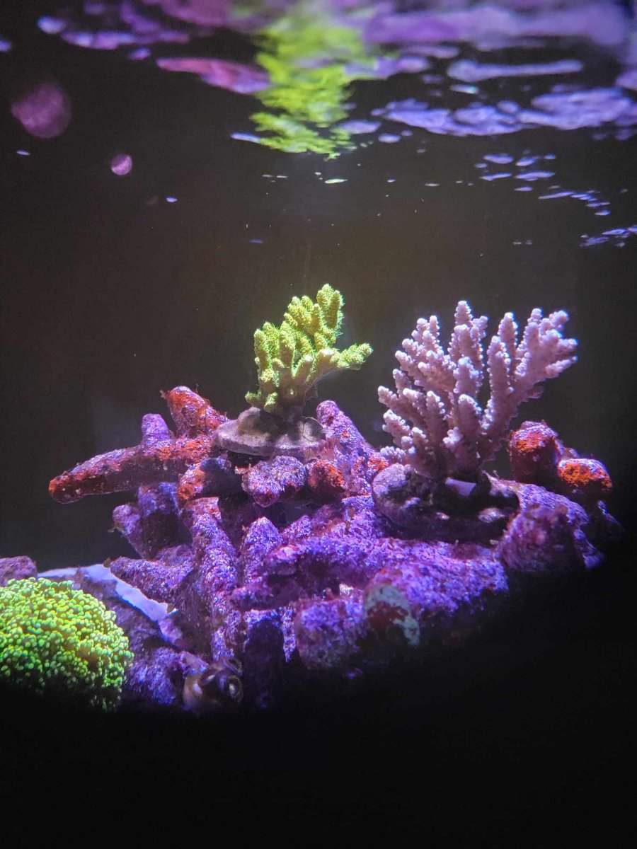1706491462321.jpeg