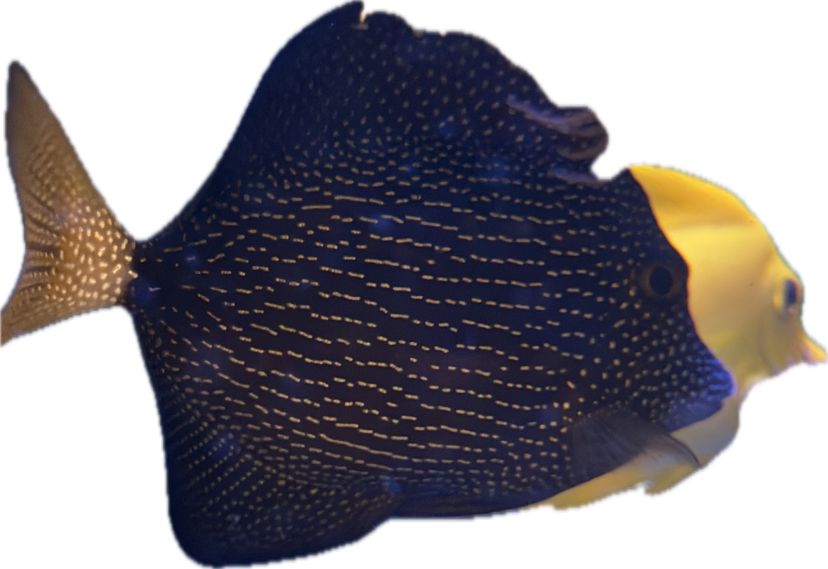 1706634087204.png