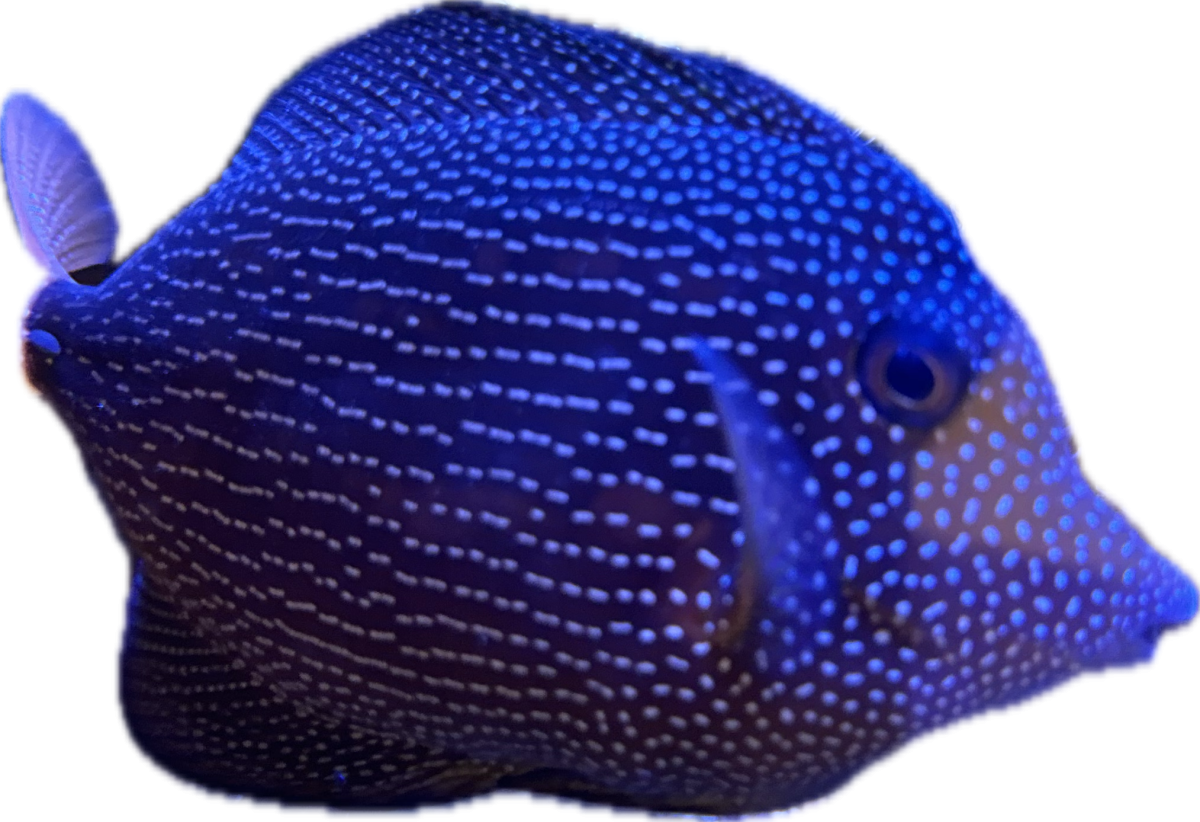 1706634243248.png