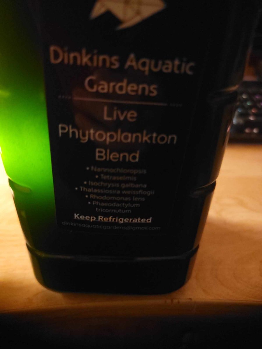 1706732269570.jpeg