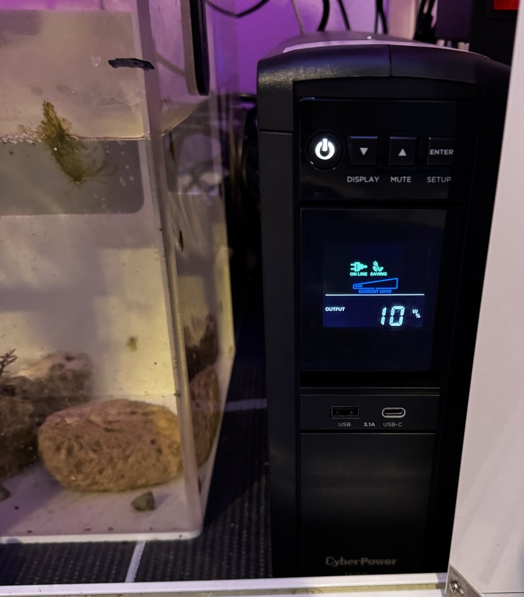 1709071933219.jpeg