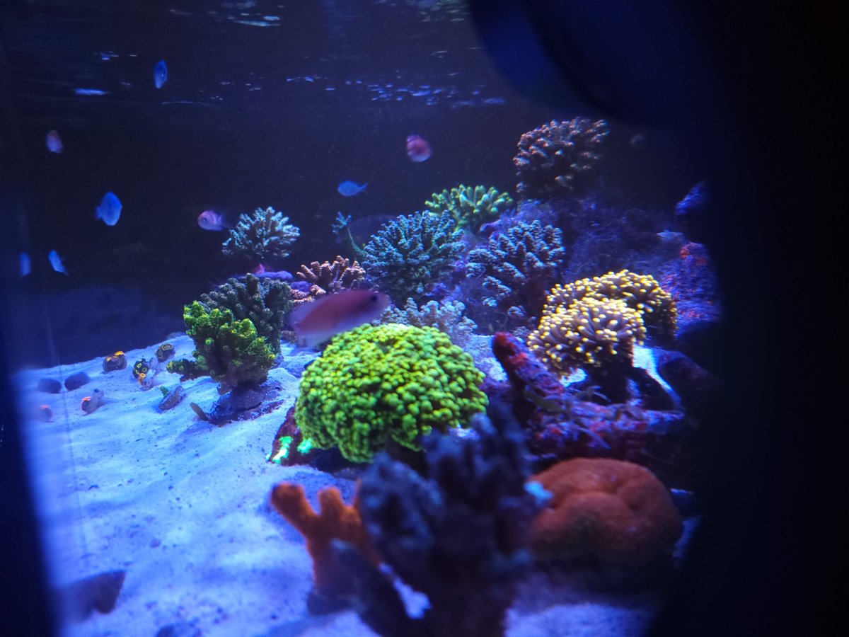 1709871417459.jpeg