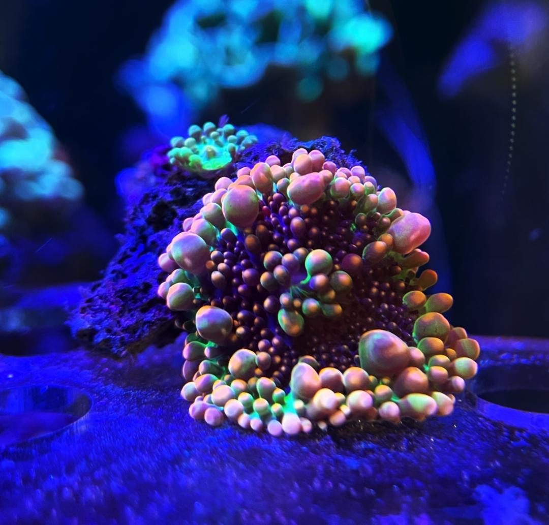 1710986075064.png
