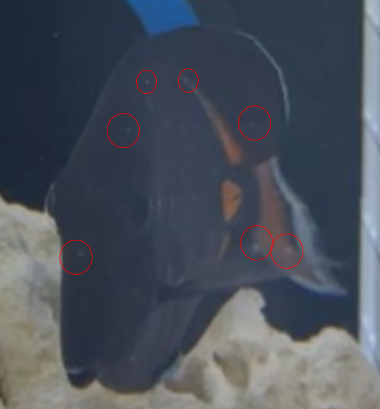 1711754269686.png