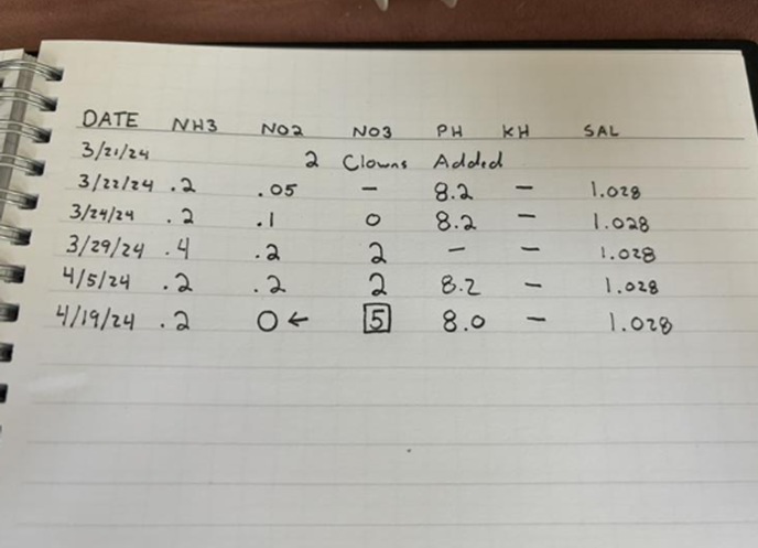 1713550186196.png