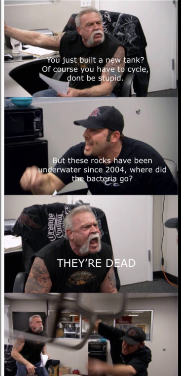 1713652630305.png