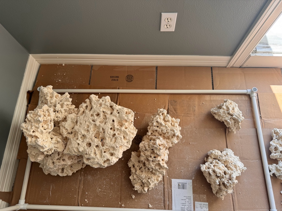 A group of white rocks on a cardboard surface  Description automatically generated