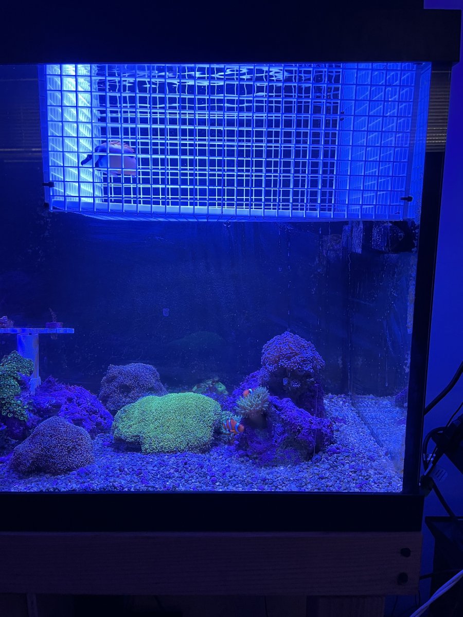 Some pictures of a DIY project | Reef2Reef