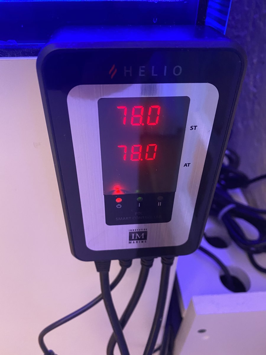 Best digital reef aquarium heater | Reef2Reef