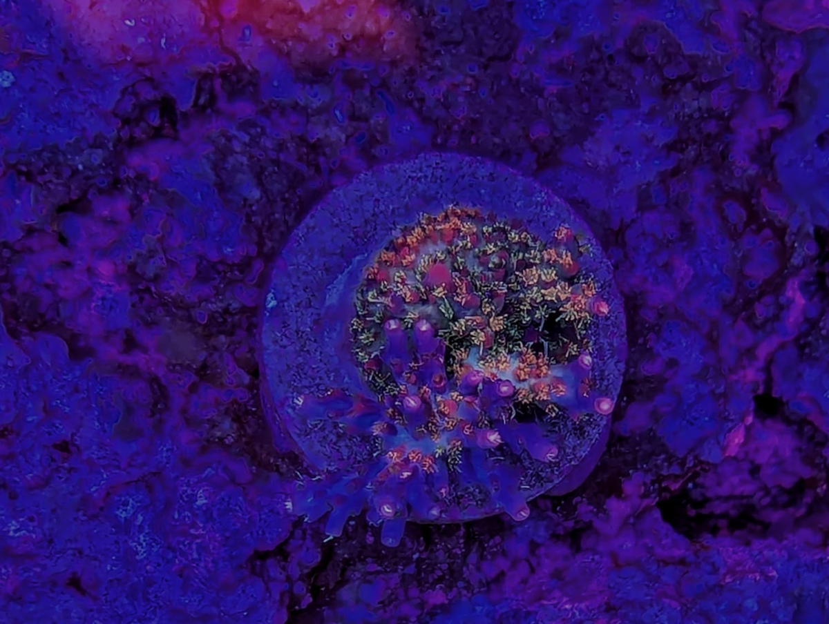 1723003122092.png