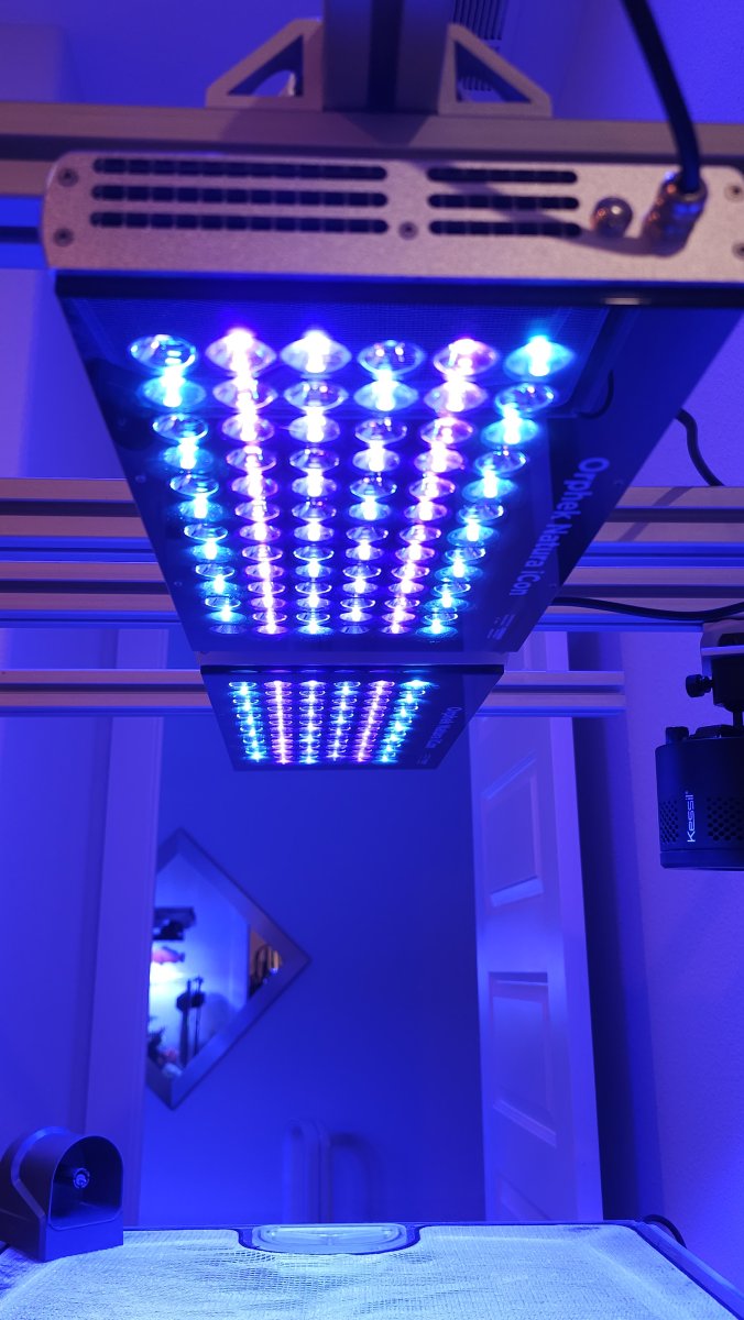 Orphek Unveils Revolutionary Natura iCon Reef LED Light: The Future of ...