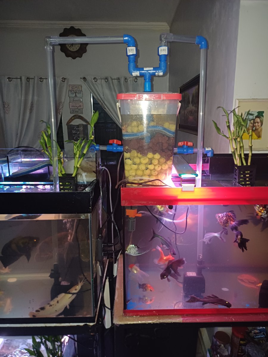 DIY FILTER FOR TWO 55 GALLON TANKS Reef2Reef