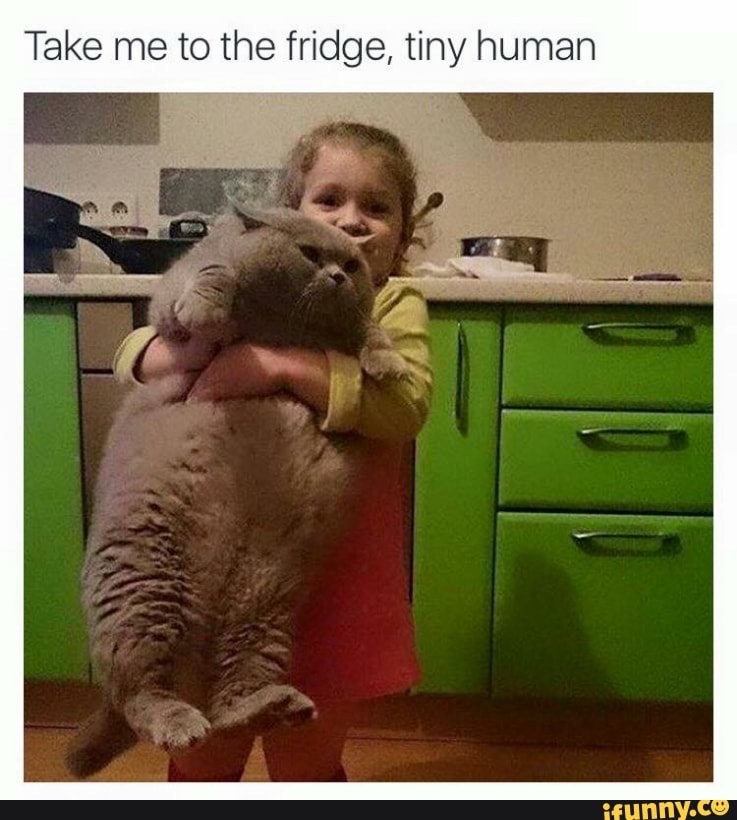 1728342680912.jpeg