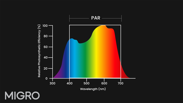 Looking for High CRI (95) Natural/Full spectrum 5000-6500K LED strip ...