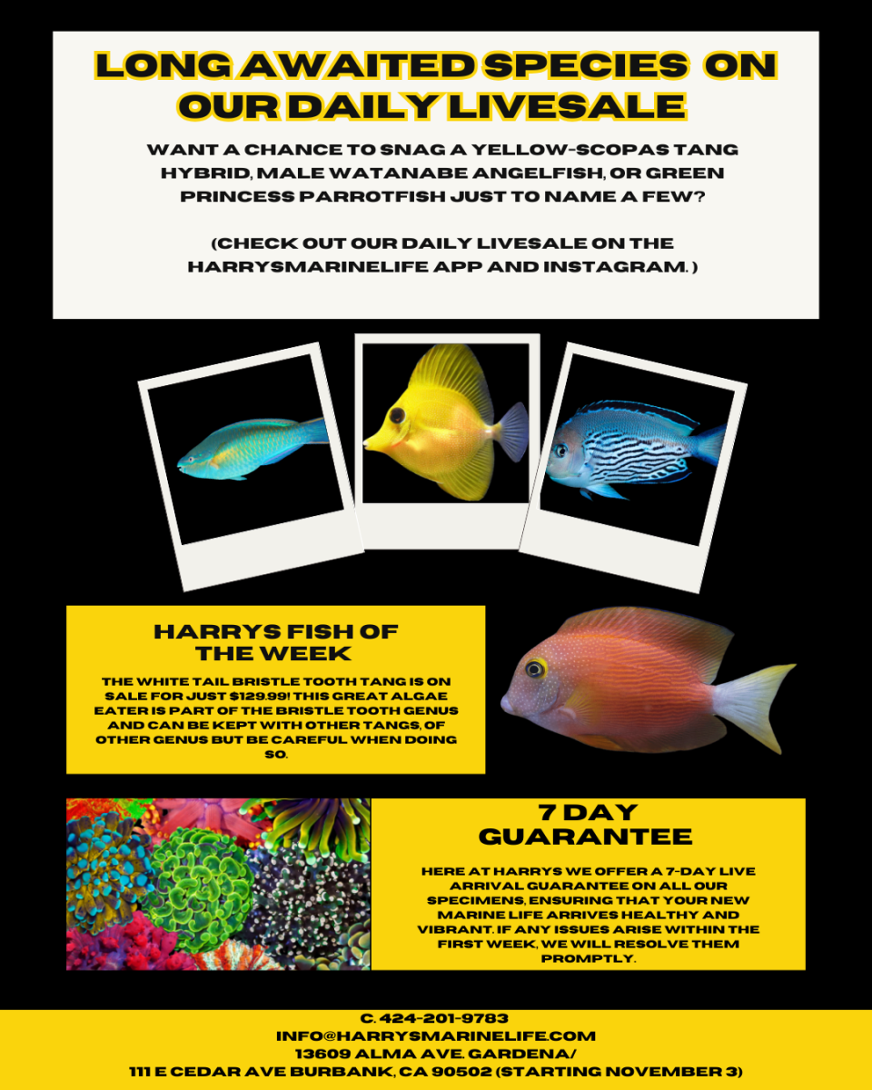 Live Goods - Flash Sale! 20% off all Livestock and Coral Inserts ...