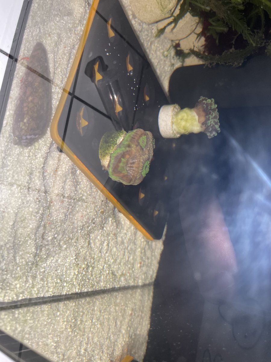 1731534017068.jpeg