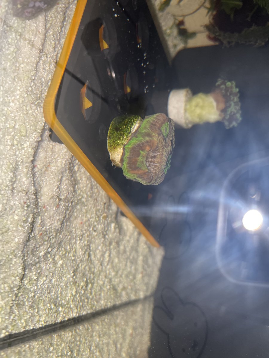 1731534046377.jpeg