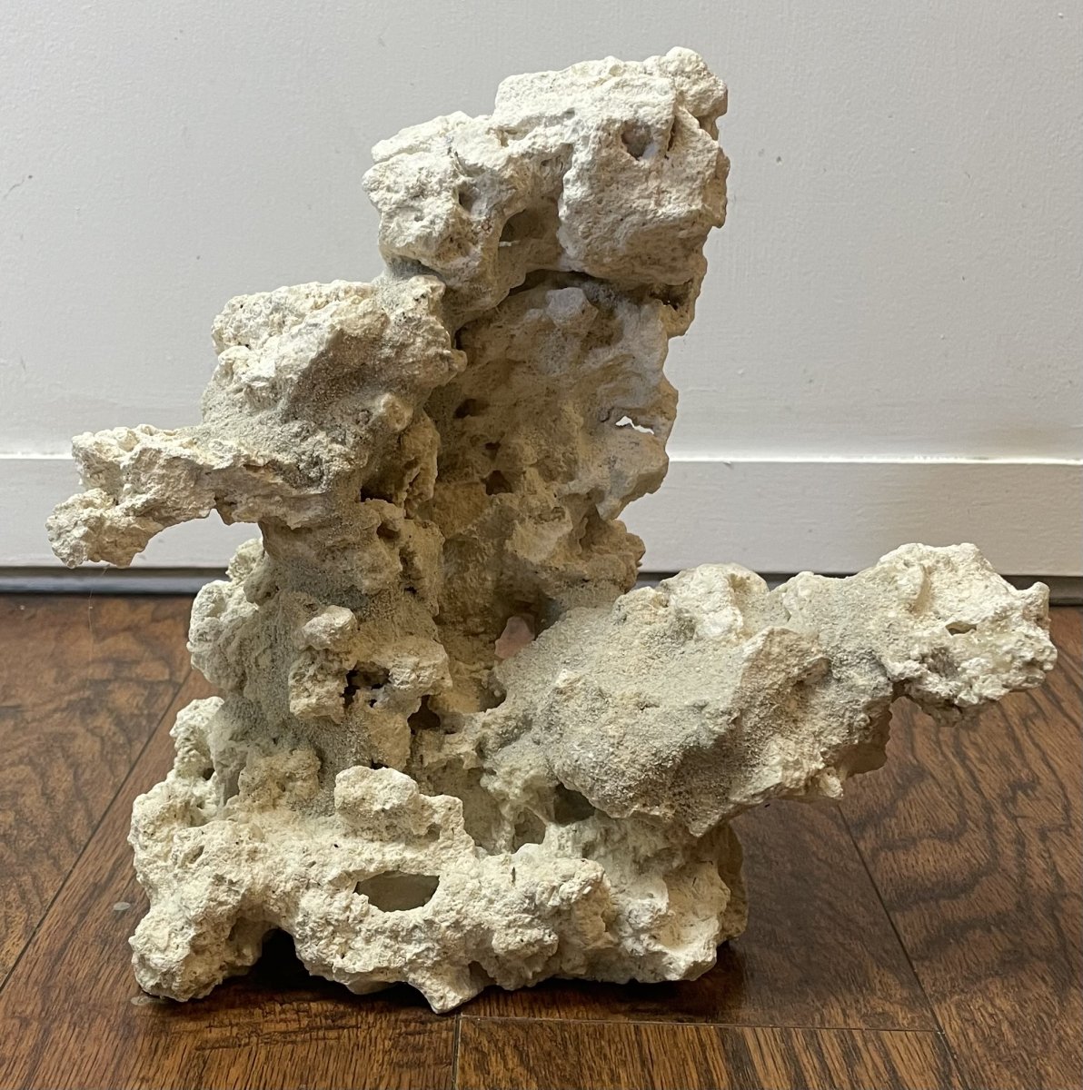 1734245287973.jpeg