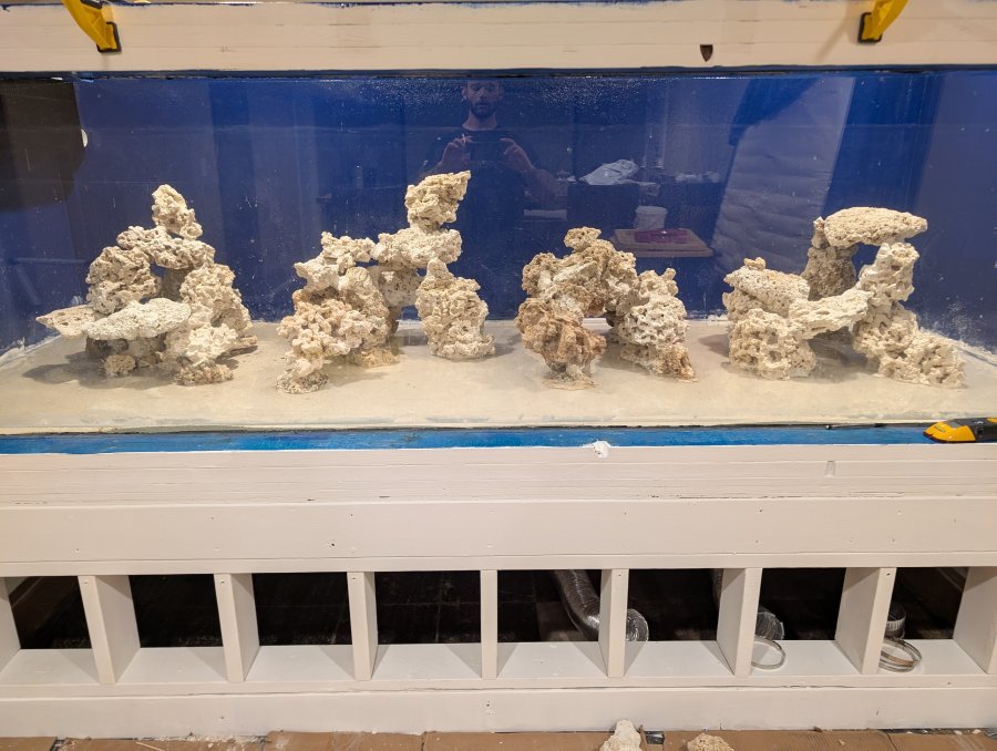 Monster Build - Reef Rhythms: 750 Gallons of Biological Fun! | Page 3 ...