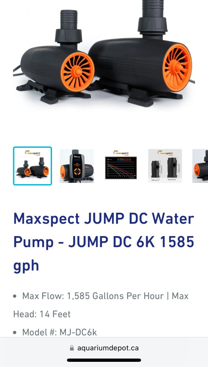 1740840948299.jpeg