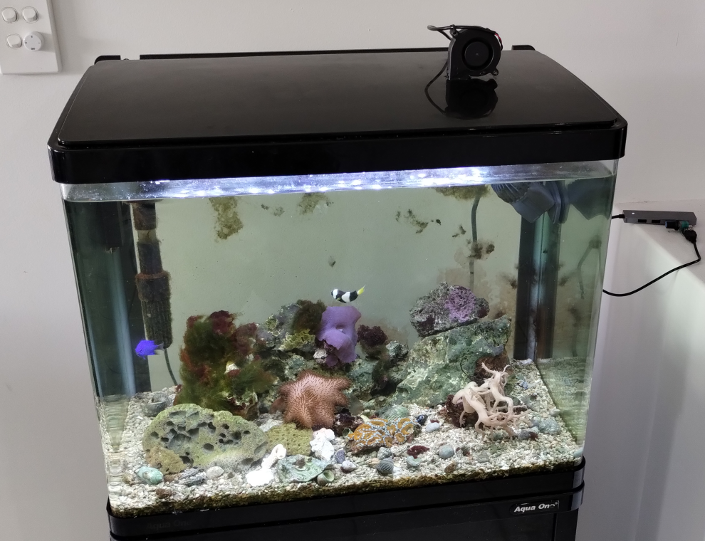 Adding a cooling fan in the lid of all-in-one tank | Reef2Reef