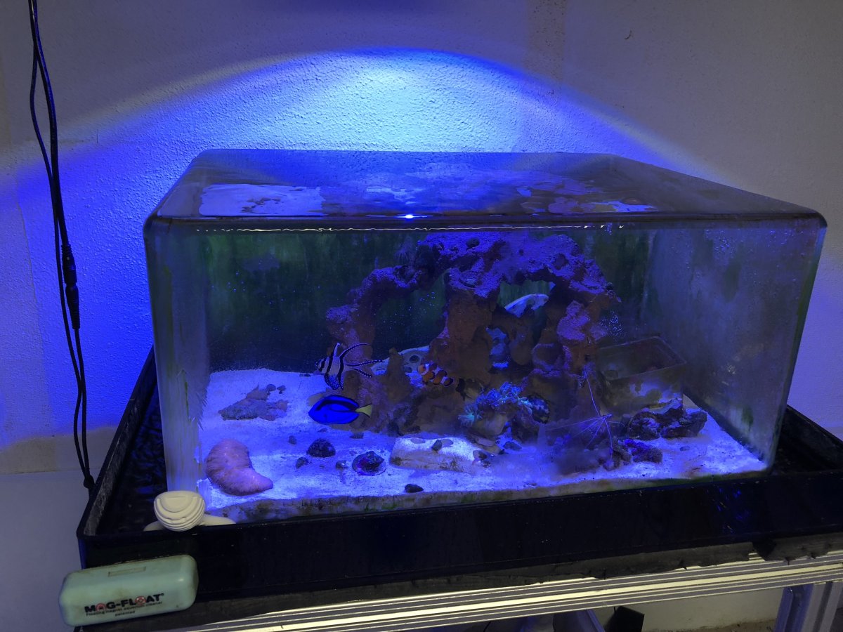 Aquariums - Skimmers - Sumps - Dry Goods - Zero edge 22 gallon aquarium ...