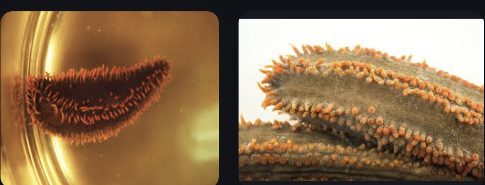 1747434017657.png