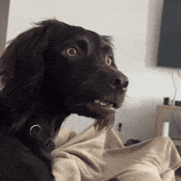 1748103624636.gif