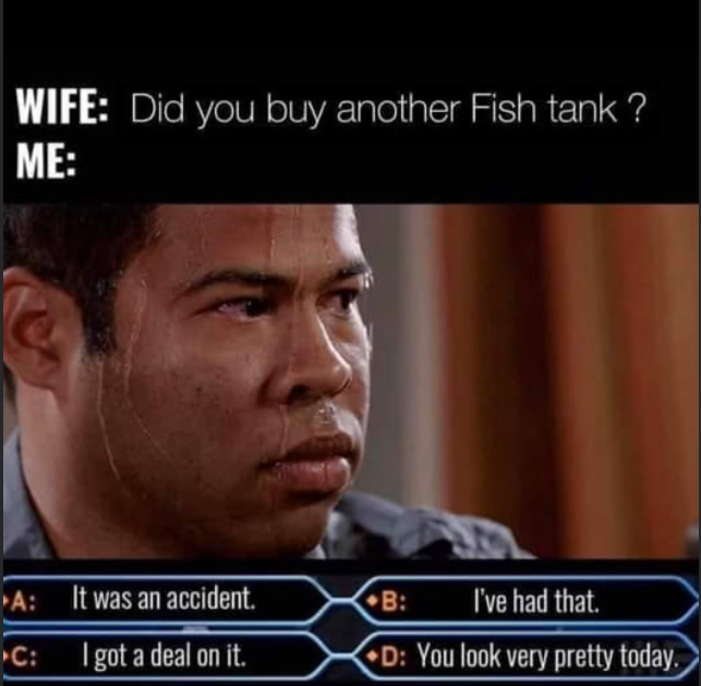 1748185055205.png