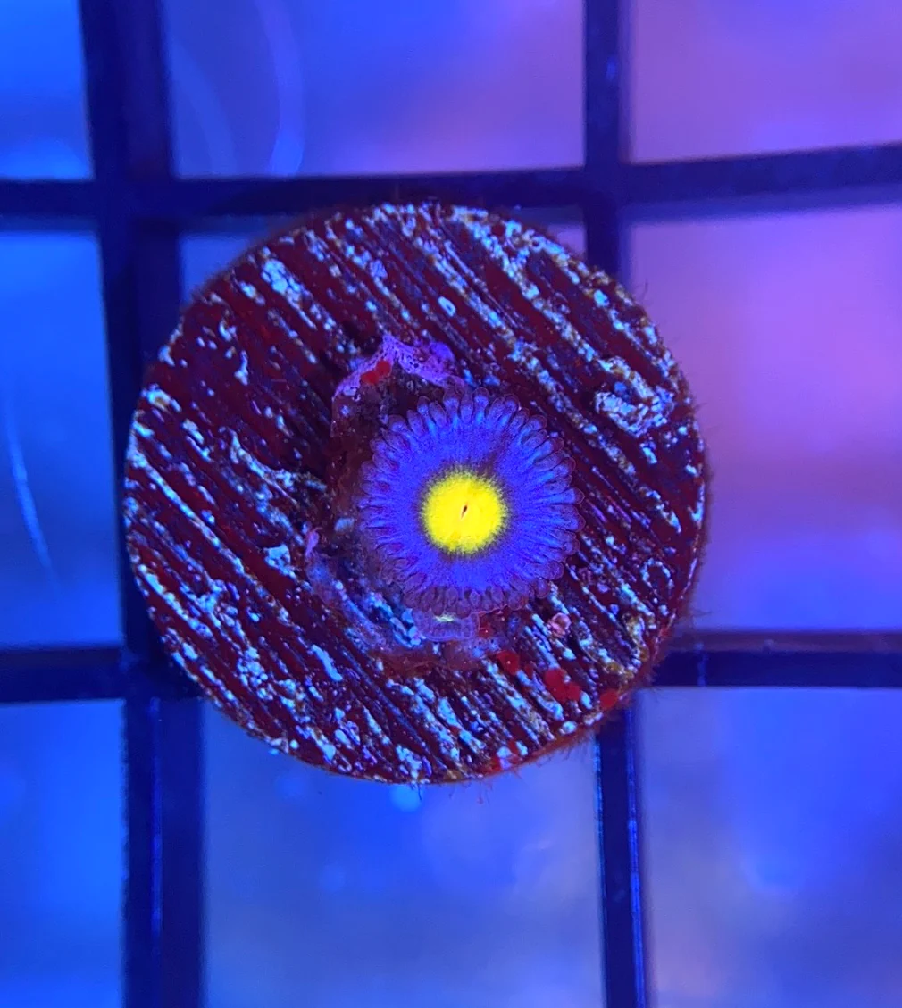 1748307788524.png