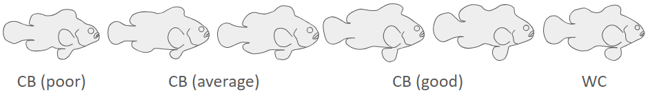 1749462316881.png