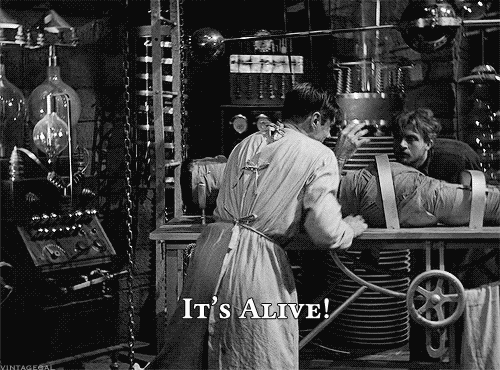 1749493881559.gif