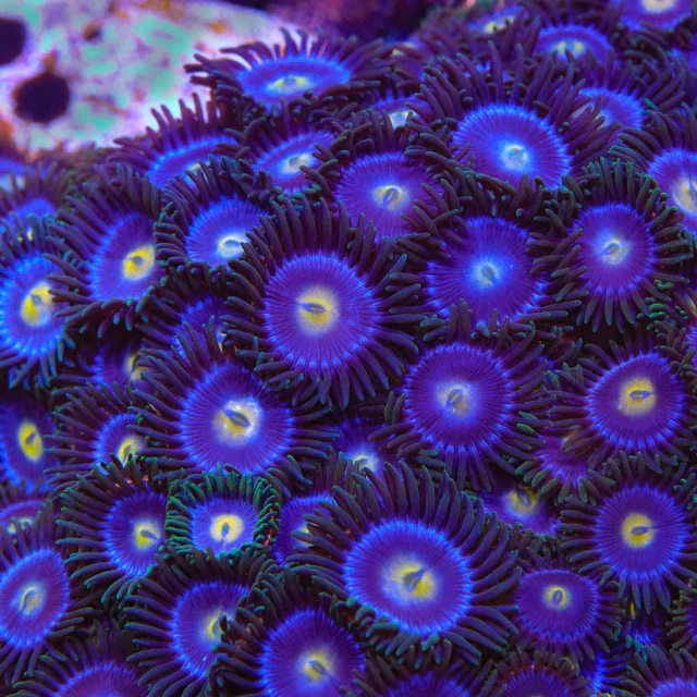 1750297381271.png