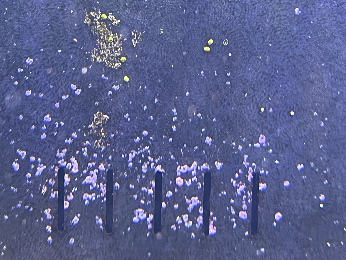 1752174906910.png